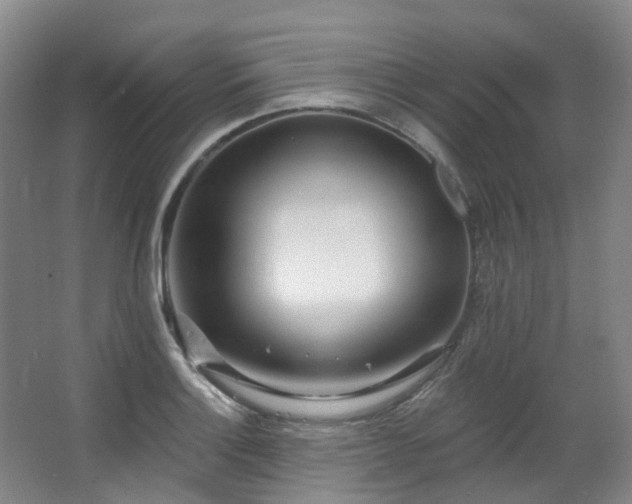 X0000063491132200601201302