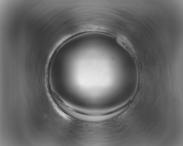 X0000063491136200601201302
