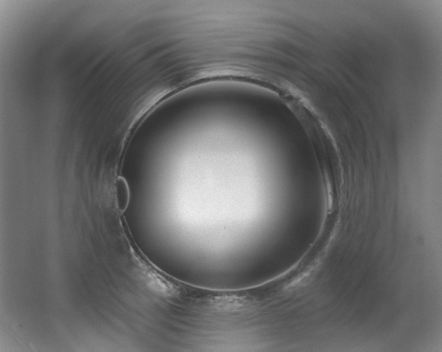 X0000063491137200601201302