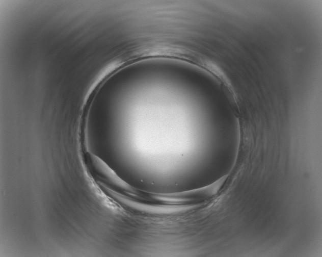 X0000063491138200601201302