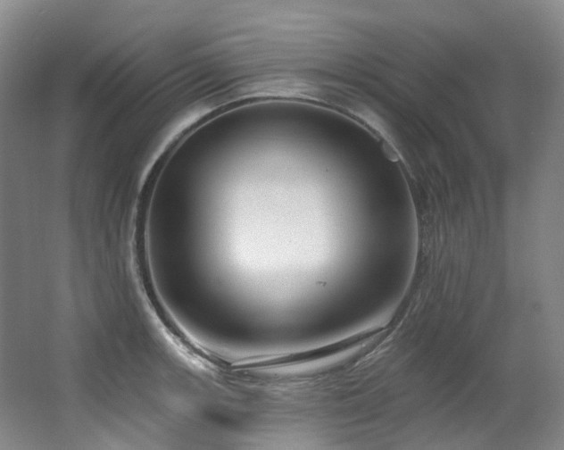X0000063491139200601201302