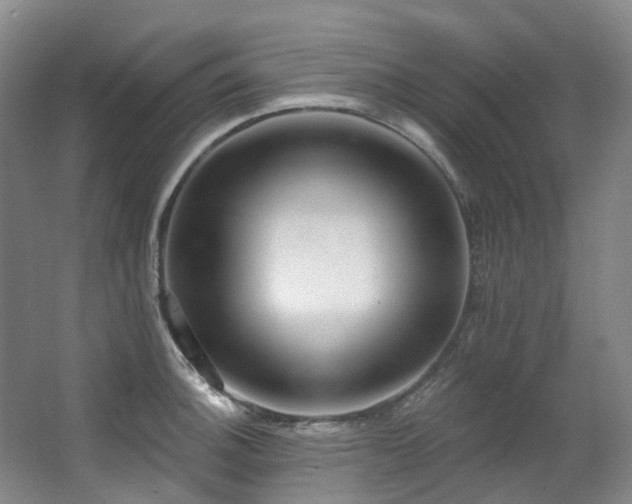 X0000063491140200601201303
