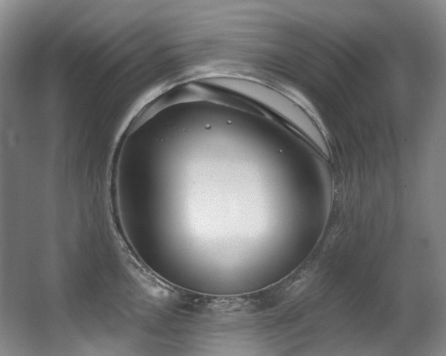 X0000063491146200601201303