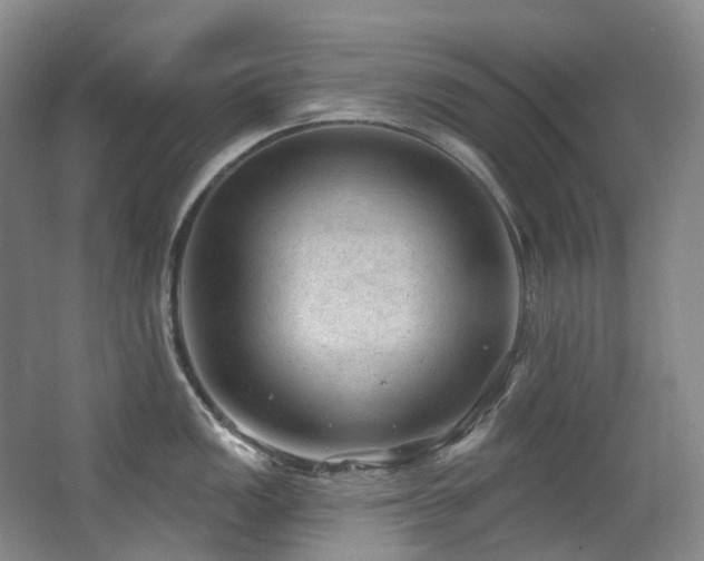 X0000063491149200601201303