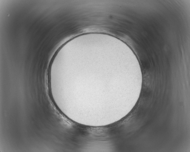 X0000063491150200601201303