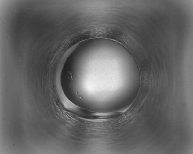 X0000063491153200601201302