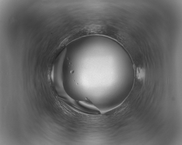 X0000063491155200601201302