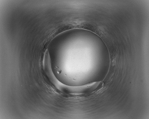 X0000063491156200601201302