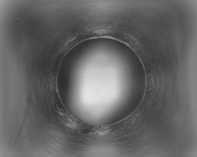 X0000063491158200601201302