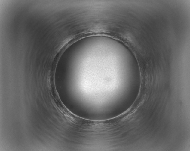 X0000063491162200601201302