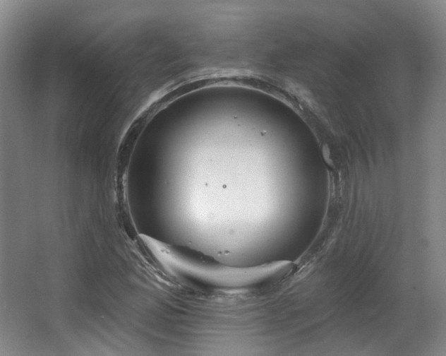 X0000063491165200601201302