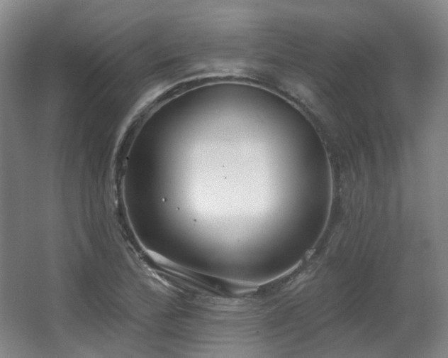 X0000063491172200601201302