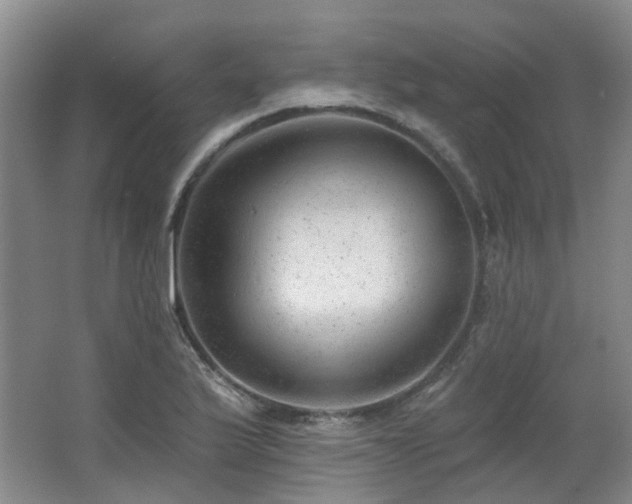 X0000063491175200601201302