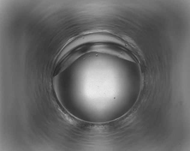 X0000063491177200601201301