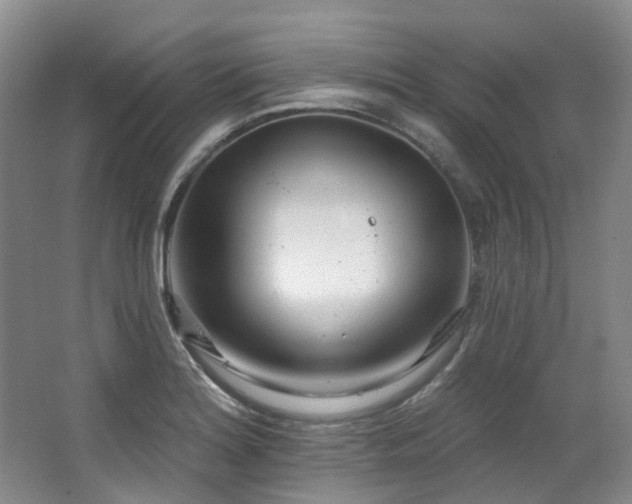 X0000063491180200601201301