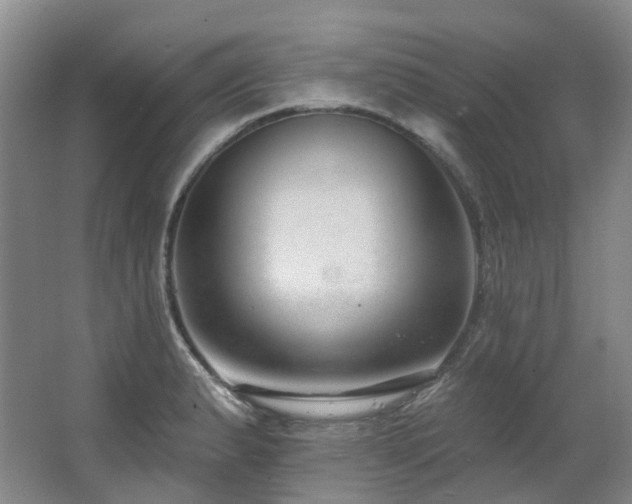 X0000063491183200601201301