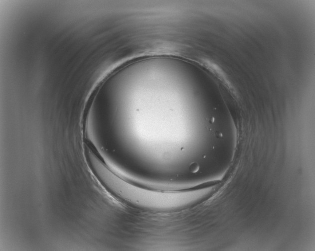 X0000063491184200601201301