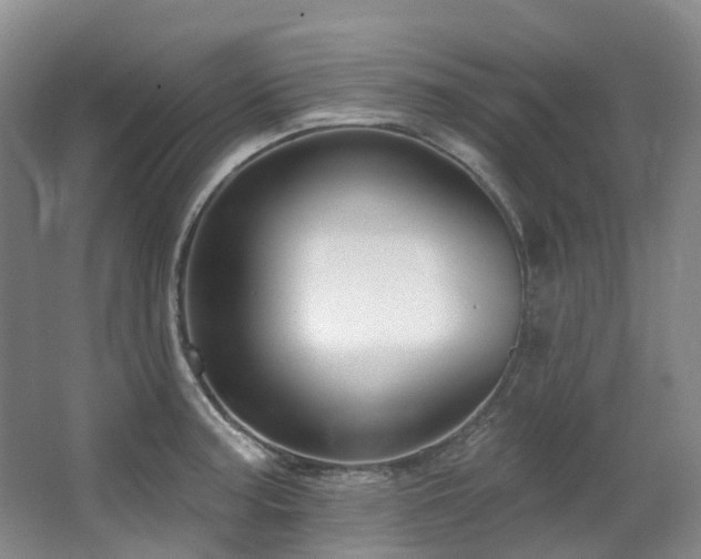 X0000063491187200601201301