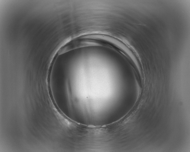 X0000063491189200601201301
