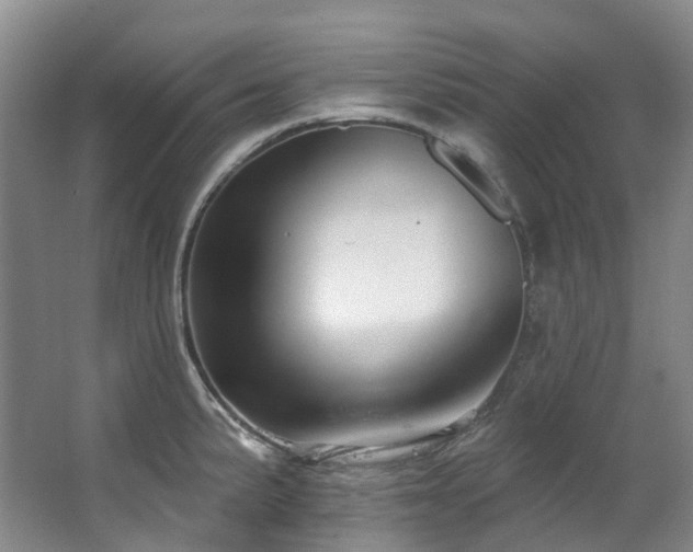X0000063491191200601201301