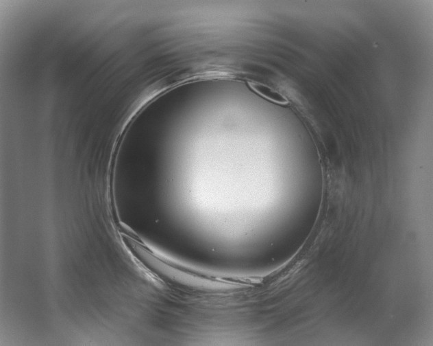 X0000063491194200601201301