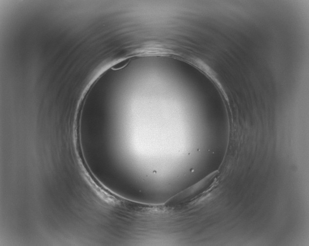 X0000063491195200601201301