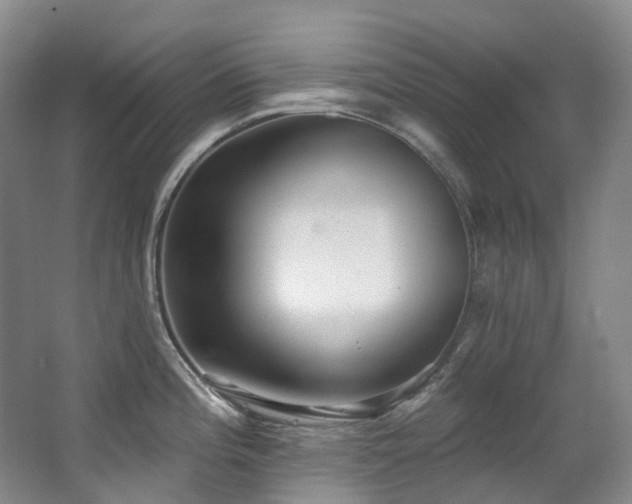 X0000063491196200601201301