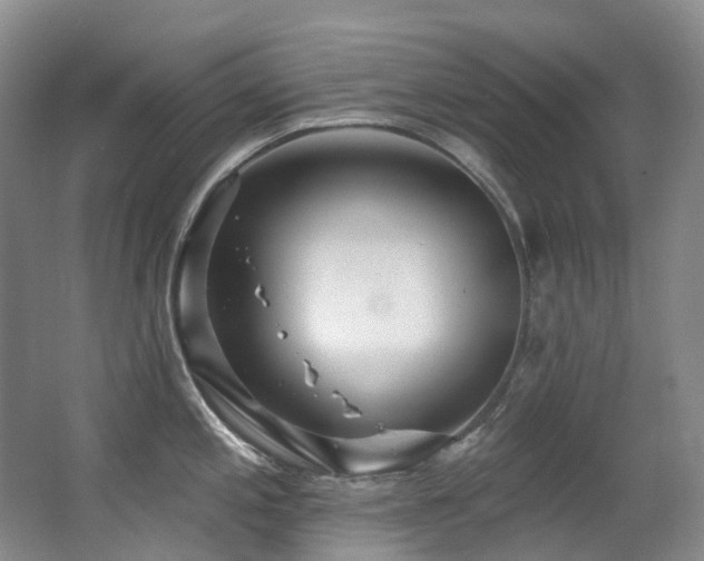 X0000063491197200601201301