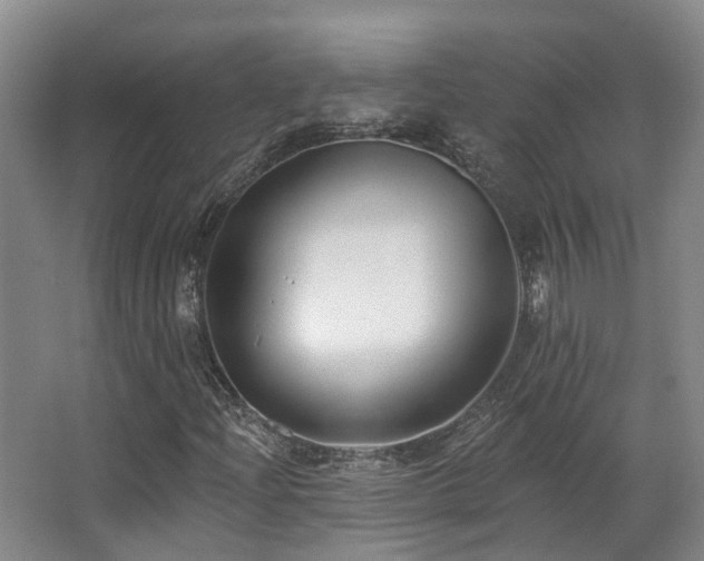 X0000063491204200601201300