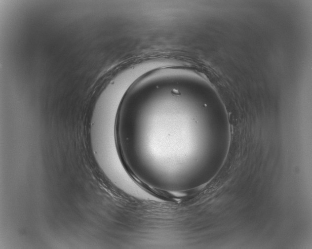 X0000063491206200601201300