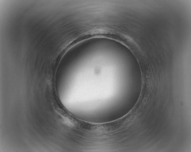 X0000063491217200601201301