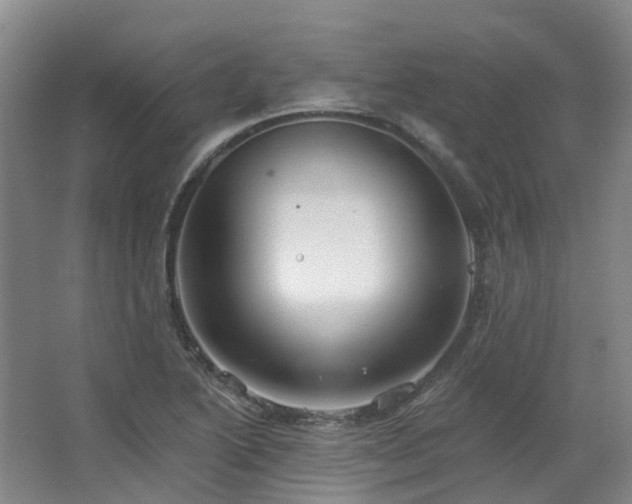 X0000063491222200601201301