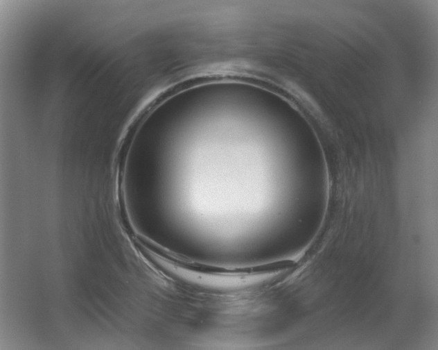 X0000063491224200601201301