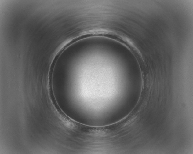 X0000063491229200601201301