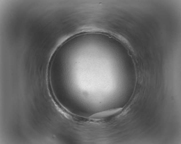 X0000063491231200601201301