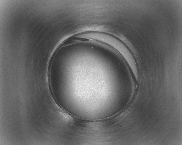 X0000063491232200601201301
