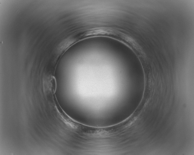 X0000063491233200601201301