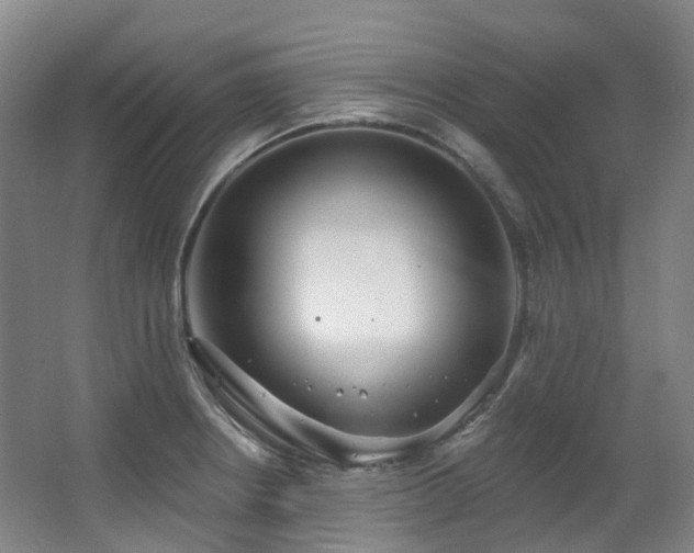 X0000063491234200601201301