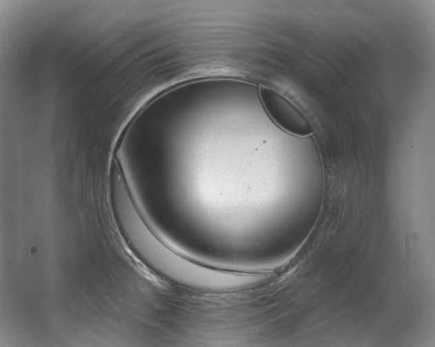 X0000063491236200601201301