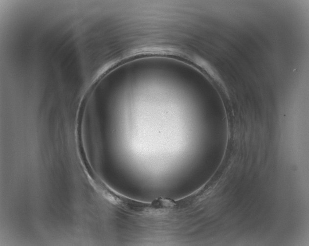 X0000063491237200601201301