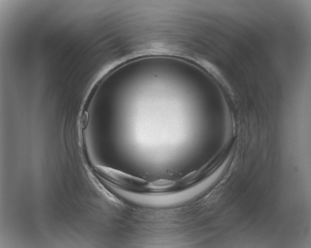 X0000063491238200601201301