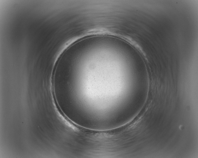 X0000063491239200601201301