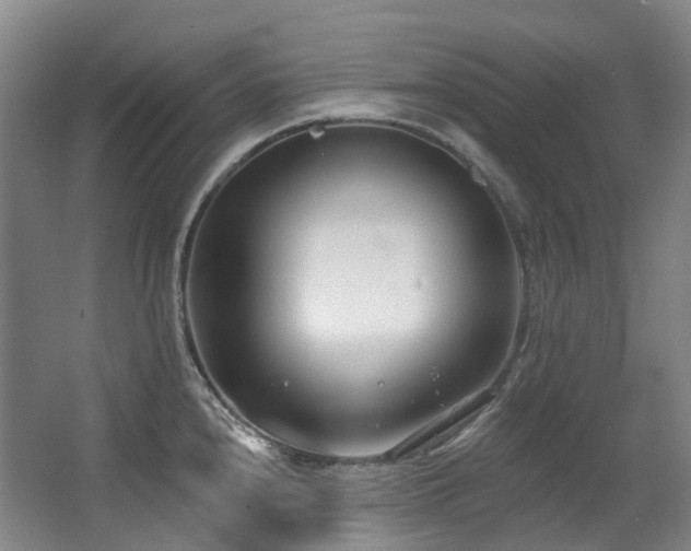 X0000063491240200601201301