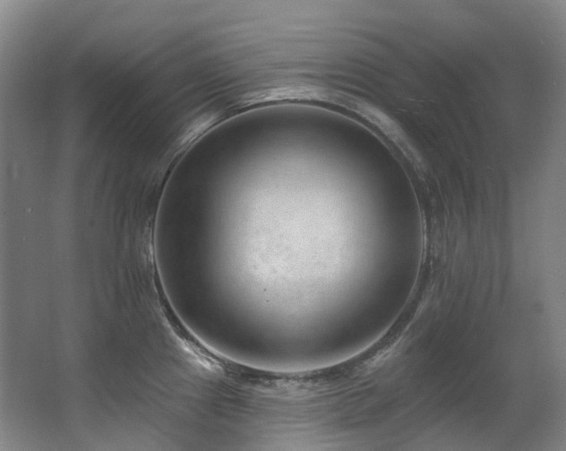 X0000063491241200601201301