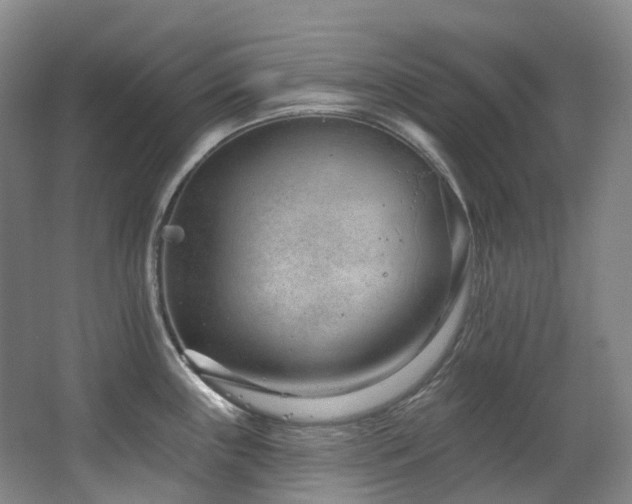 X0000063491243200601201301