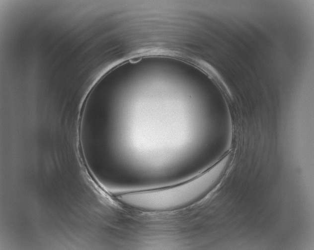 X0000063491244200601201301