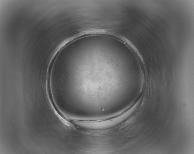 X0000063491245200601201301