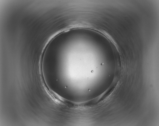 X0000063491246200601201301