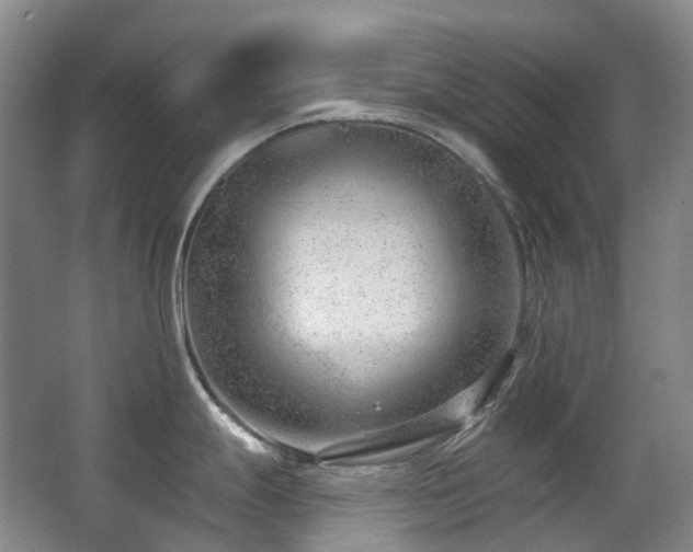 X0000063491247200601201301