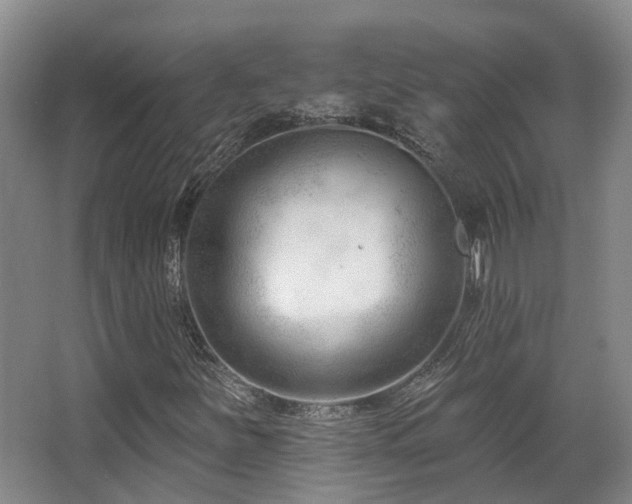 X0000063491251200601201300